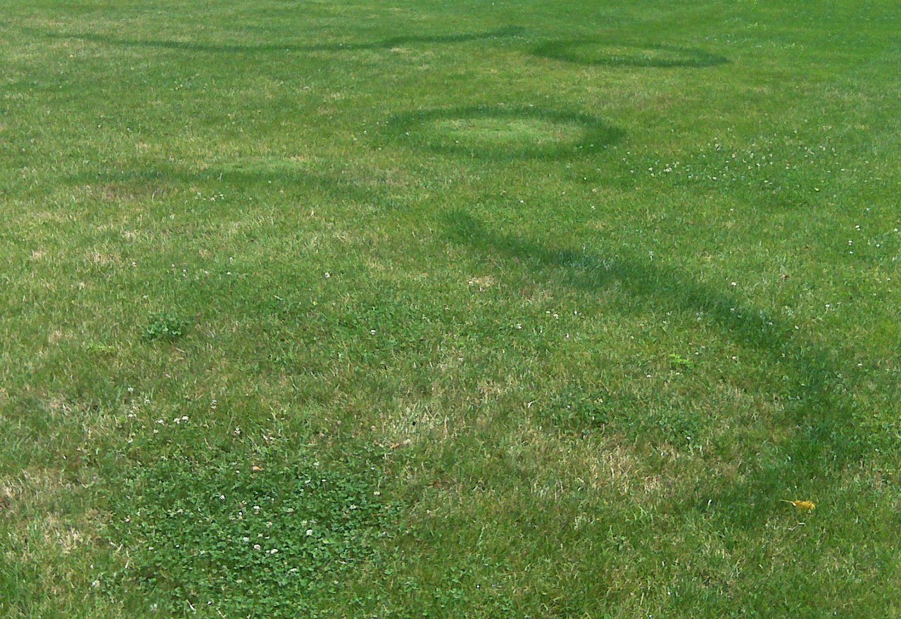 Fairy Ring